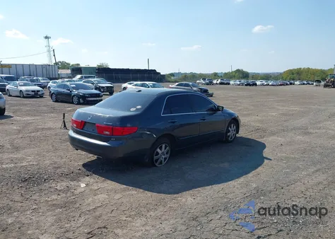 2005 Honda Accord 3.0 Ex z USA, uszkodzony, nr VIN 1HGCM66575A049061